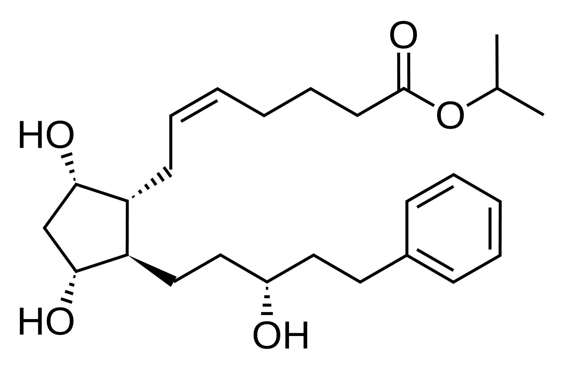Prostaglandin Molecule